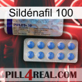 Sildénafil 100 39